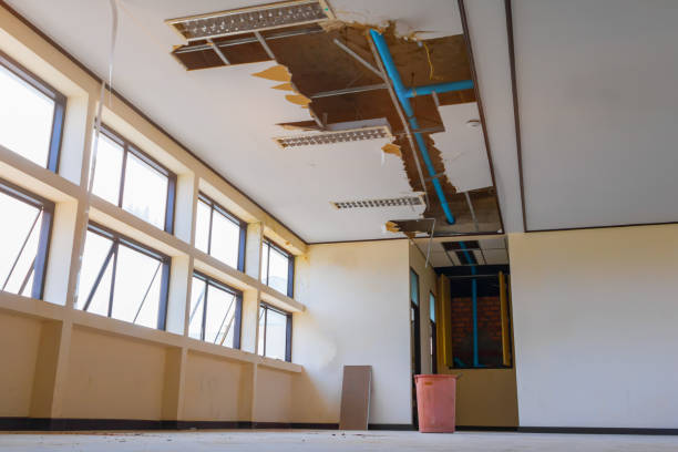 Best Water damage mitigation services  in Mountain Brook, AL