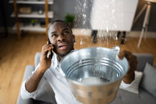 Best 24-hour water damage restoration  in Mountain Brook, AL