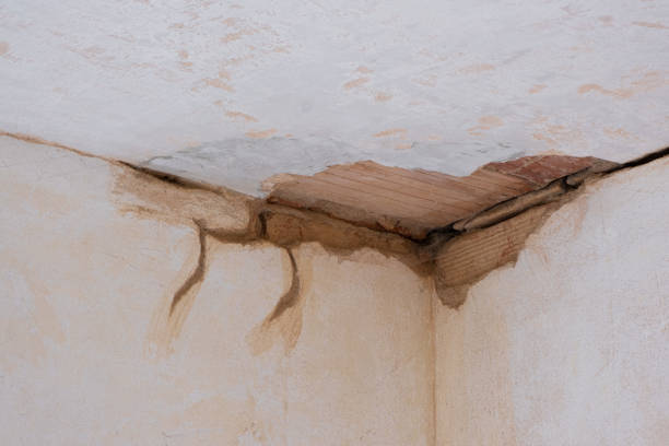 Best Professional water damage repair  in Mountain Brook, AL