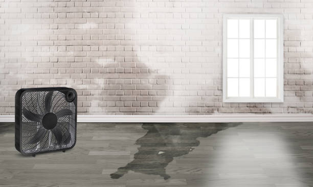 Best Flooded house restoration  in Mountain Brook, AL