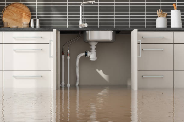 Best Sewage cleanup and water damage restoration  in Mountain Brook, AL