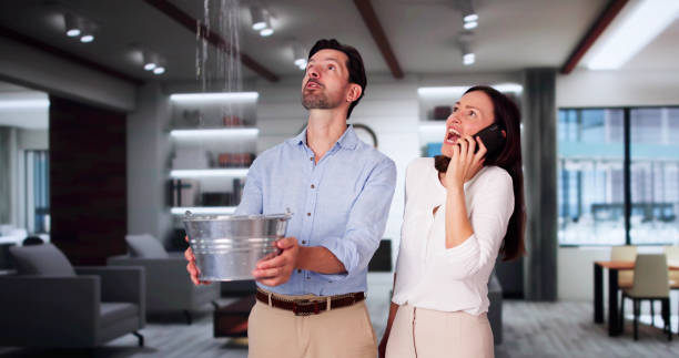 Best Local water damage restoration  in Mountain Brook, AL
