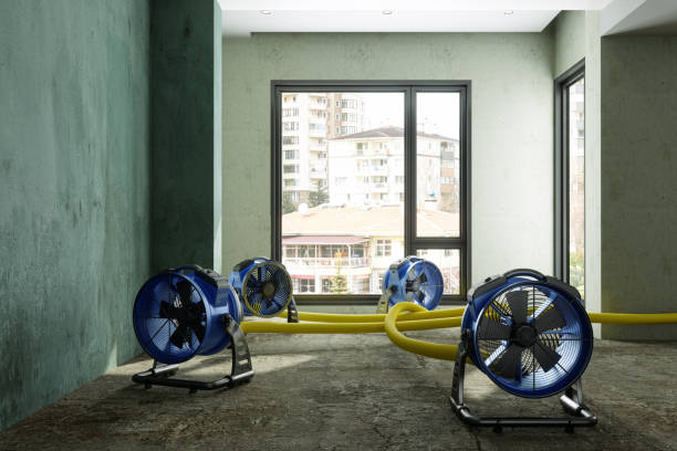 Best Mold removal after water damage  in Mountain Brook, AL